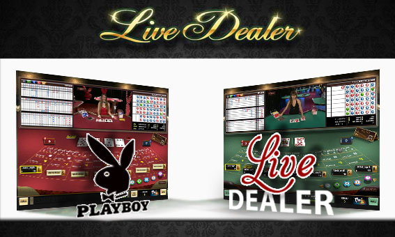 Loose Cannon - скоро в Лас-Вегасе